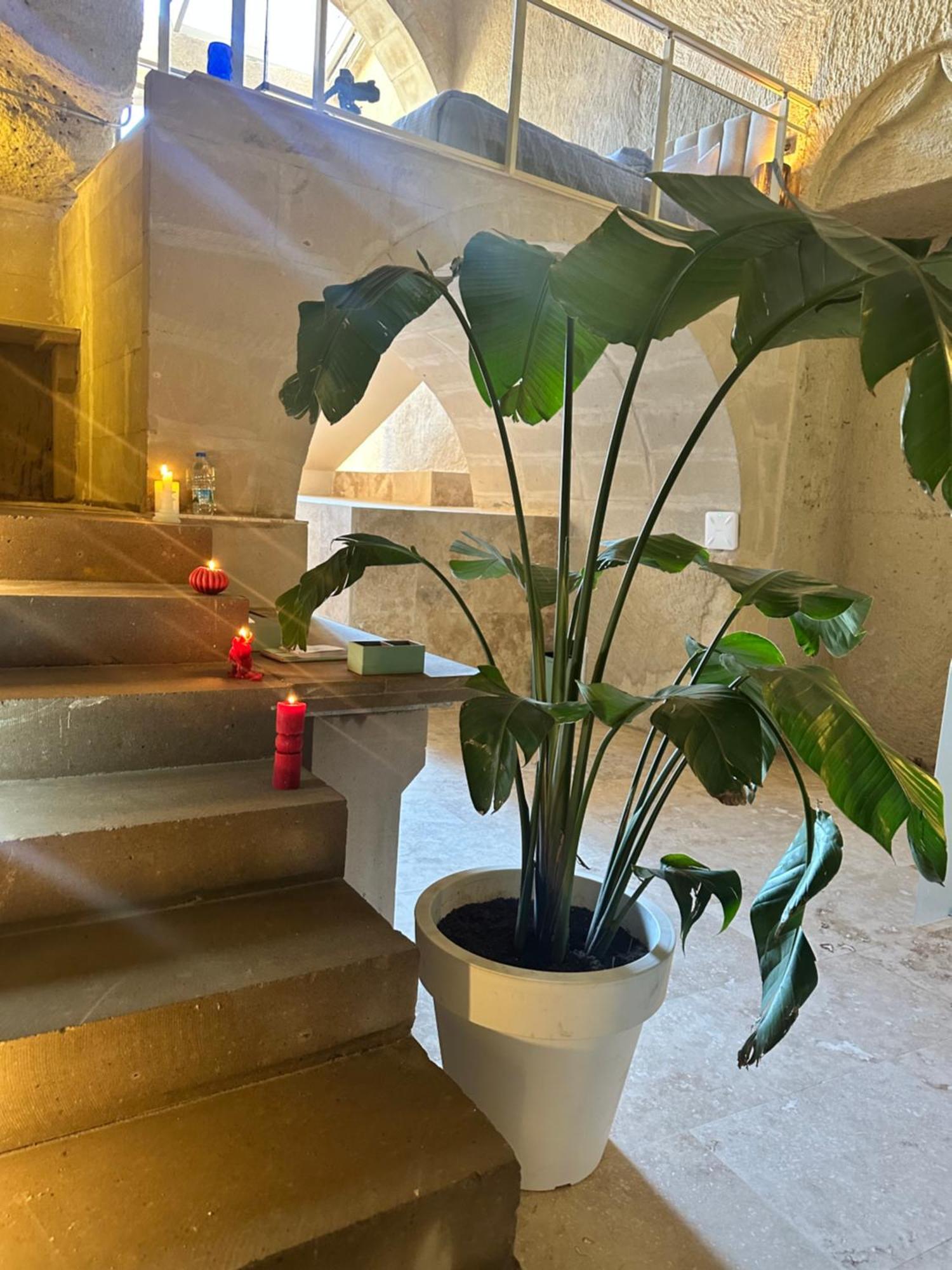 Be Still Alexa Smart Luxury Escape Adults Only Νεβσεχίρ Εξωτερικό φωτογραφία